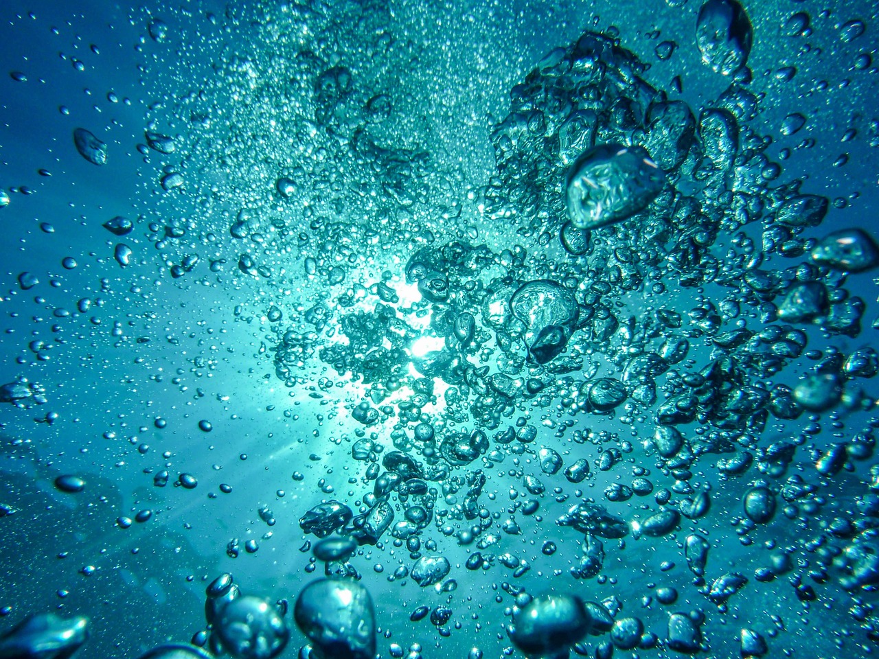How Deep-Sea Creatures Survive Crushing Pressure