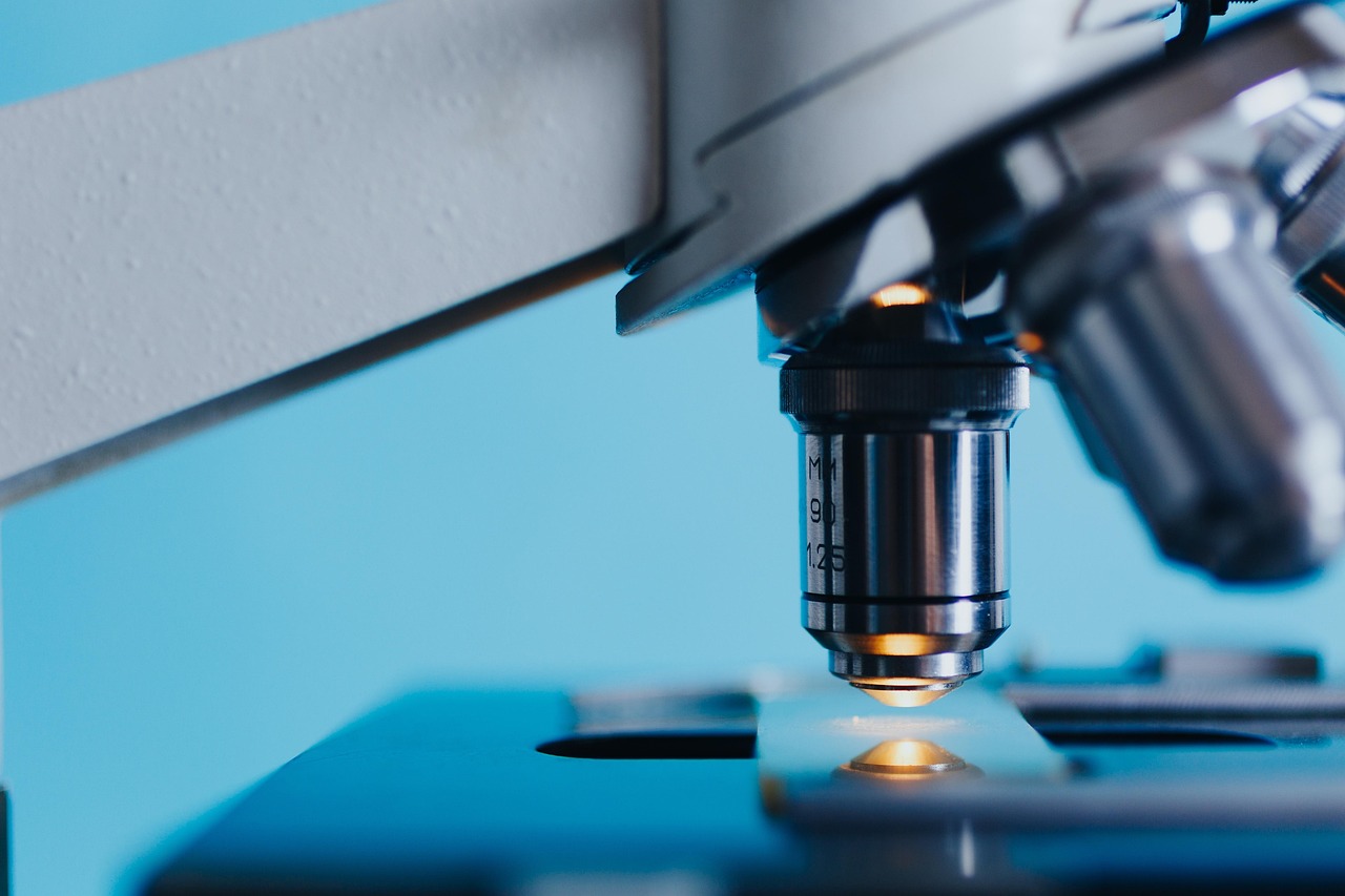 The Glowing Machinery: A Look at Luciferin and Luciferase